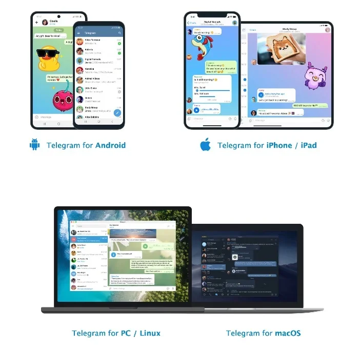telegram tools常见问题 FAQ示意图,帮助完成telegram tools相关操作